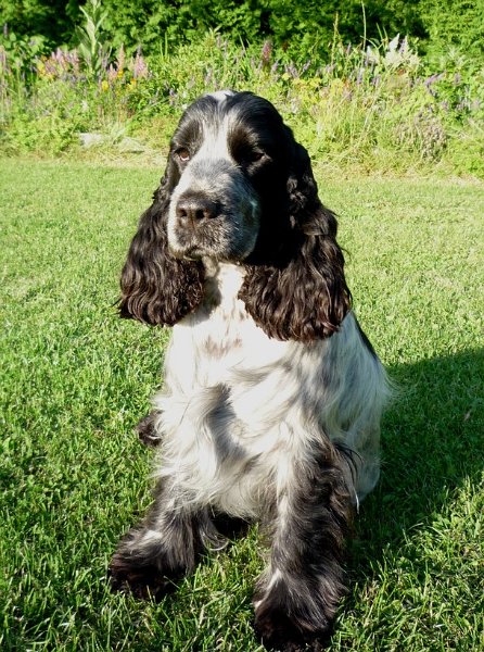 21.7.2009 postoje 042.jpg